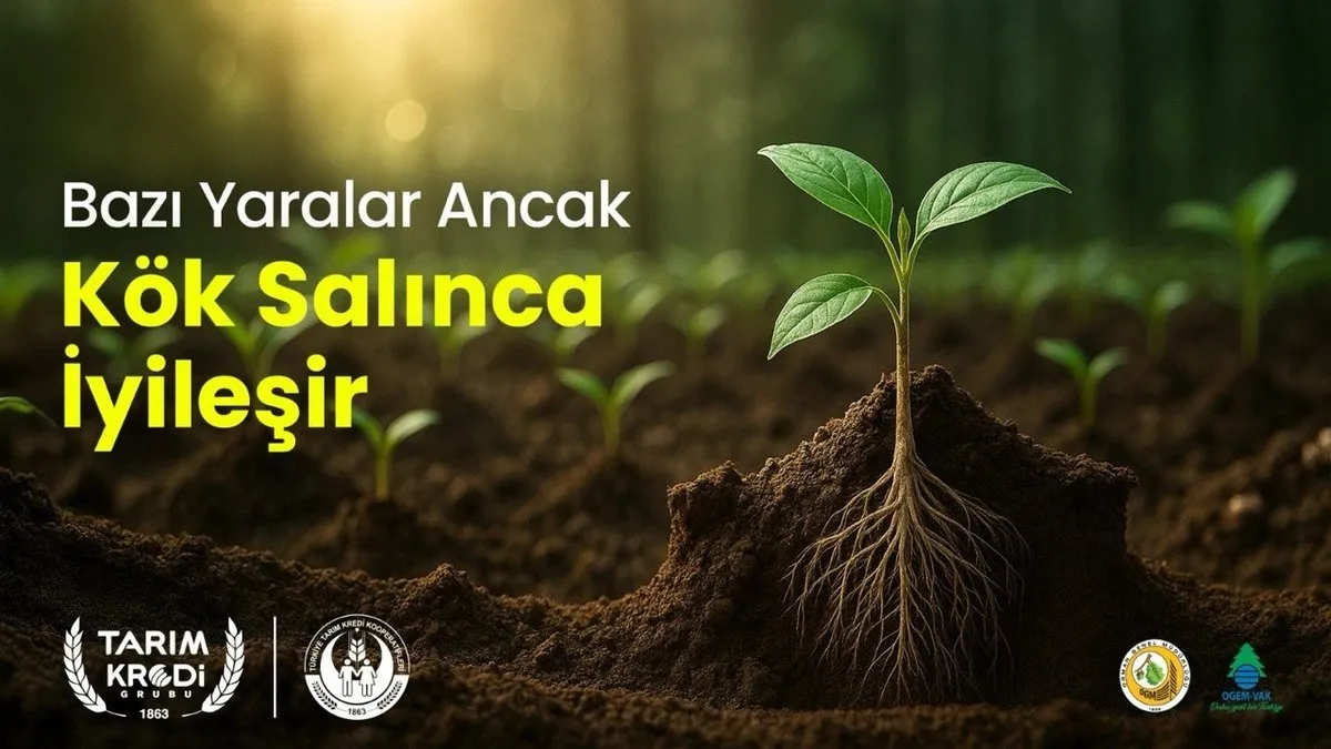 Tarım Kredi, 62 Bin Fidanla Geleceğe Nefes Oluyor